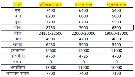 Mandi Bhav 24-12-2024 Rajasthan